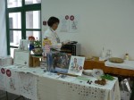 Sončkov Festival 2011
